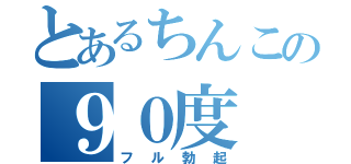 とあるちんこの９０度（フル勃起）