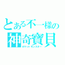 とある不一樣の神奇寶貝（ポケットモンスター）