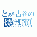 とある古谷の焼け野原（はげあたま）