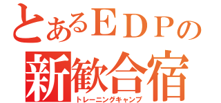 とあるＥＤＰの新歓合宿（トレーニングキャンプ）