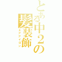 とある中２の髪装飾（エアアイロン）