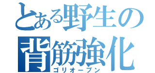 とある野生の背筋強化（ゴリオープン）