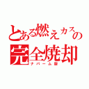 とある燃えカスの完全焼却（ナパーム厨）