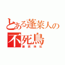 とある蓬莱人の不死鳥（藤原妹紅）