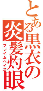 とある黒衣の炎髪灼眼（フレイムヘイズ）