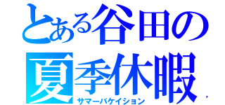 とある谷田の夏季休暇（サマーバケイション）