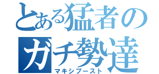 とある猛者のガチ勢達（マキシブースト）