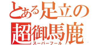 とある足立の超御馬鹿（スーパーフール）