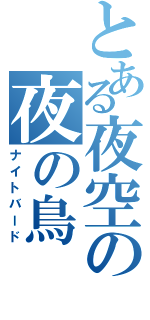 とある夜空の夜の鳥（ナイトバード）