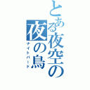 とある夜空の夜の鳥（ナイトバード）