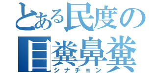 とある民度の目糞鼻糞（シナチョン）