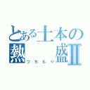 とある土本の熱　　盛Ⅱ（つちもり）