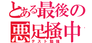 とある最後の悪足掻中（テスト勉強）