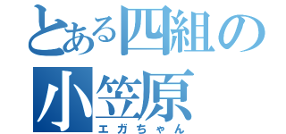 とある四組の小笠原（エガちゃん）