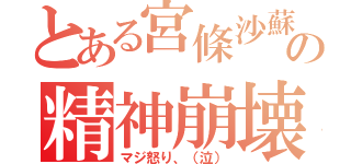 とある宮條沙蘇の精神崩壊（マジ怒り、（泣））