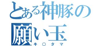 とある神豚の願い玉（キ○タマ）