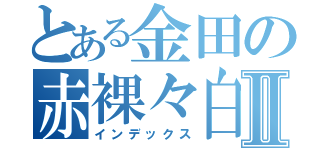 とある金田の赤裸々白書Ⅱ（インデックス）