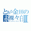 とある金田の赤裸々白書Ⅱ（インデックス）