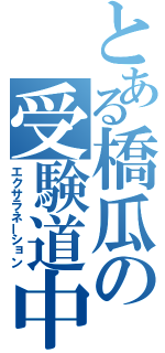 とある橋瓜の受験道中（エクサラネーション）