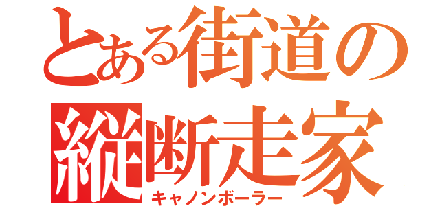 とある街道の縦断走家（キャノンボーラー）