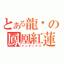 とある龍熦の鳳凰紅蓮（インデックス）