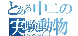 とある中二の実験動物（ぎゃうすと叫ぶゆっくり）