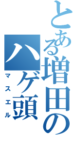 とある増田のハゲ頭（マスエル）