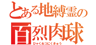 とある地縛霊の百烈肉球（ひゃくれつにくきゅう）