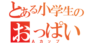 とある小学生のおっぱい（Ａカップ）