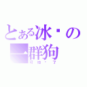 とある冰吧の一群狗（可怕极了）