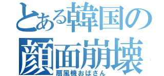 とある韓国の顔面崩壊（扇風機おばさん）