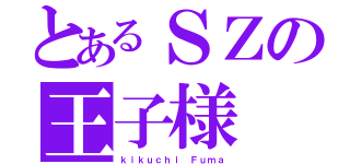 とあるＳＺの王子様（ｋｉｋｕｃｈｉ Ｆｕｍａ）