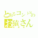 とあるコント気質のお猿さん（佐野凪）