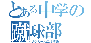 とある中学の蹴球部（サッカー人生活物語）