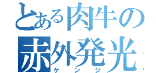 とある肉牛の赤外発光（ケンジ）