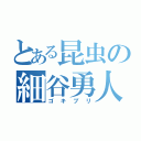 とある昆虫の細谷勇人（ゴキブリ）