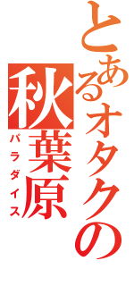 とあるオタクの秋葉原（パラダイス）