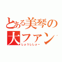 とある美琴の大ファン（しょうししょー）