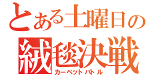 とある土曜日の絨毯決戦（カーベットバトル）