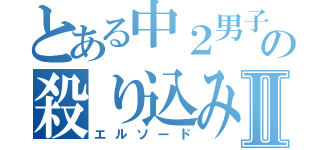 とある中２男子の殺り込みゲームⅡ（エルソード）