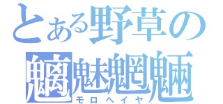 とある野草の魑魅魍魎（モロヘイヤ）