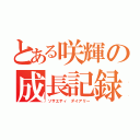 とある咲輝の成長記録（ソサエティ ダイアリー）