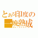 とある印度の一晩熟成（カレーライス）