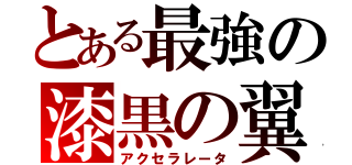 とある最強の漆黒の翼（アクセラレータ）