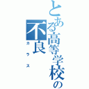 とある高等学校の不良（カラス）