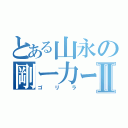 とある山永の剛ー力ー羅ーⅡ（ゴリラ）