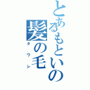 とあるもといの髪の毛（タワシ）