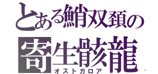 とある鮹双頚の寄生骸龍（オストガロア）