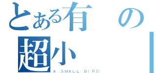 とある有倫の超小雞雞（Ａ ＳＭＡＬＬ ＢＩＲＤ）