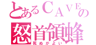 とあるＣＡＶＥの怒首領蜂（死ぬがよい）